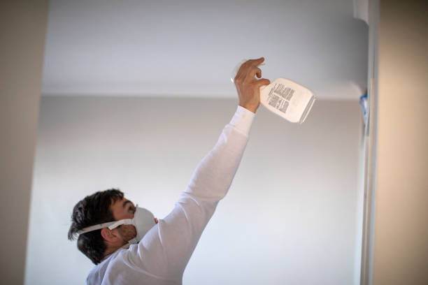 Best Same-Day Mold Removal  in West Park, NJ