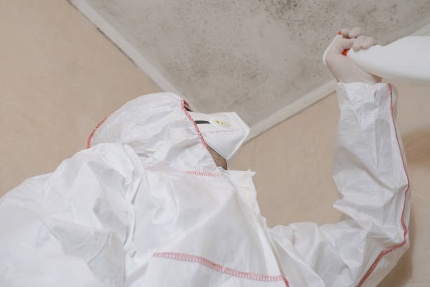 Best Mold Removal Specialists  in West Park, NJ